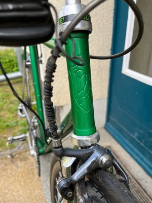 IMG_9148.jpeg
