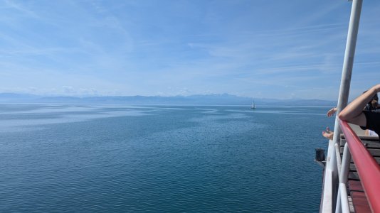 PXL_20260608_092518235.jpg PXL_20260608_092518235.jpg