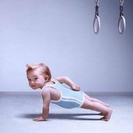 D_Erbe81
