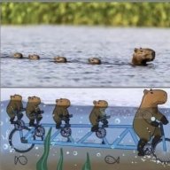 Der Gü