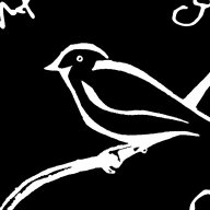 Martin Chickadee