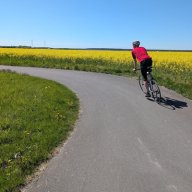 vorTrieB