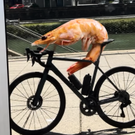 blub01