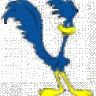 Roadrunner79