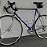 Blue-Faggin