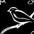 Martin Chickadee