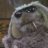 Mr.Floppy_de