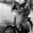 Wilhelmina on fiets