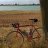Specialized 01
